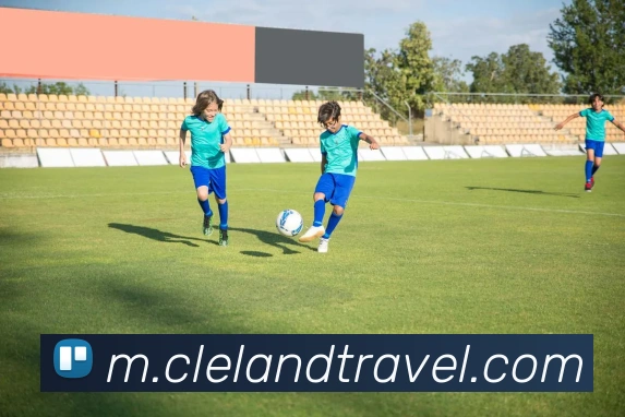 战术演练